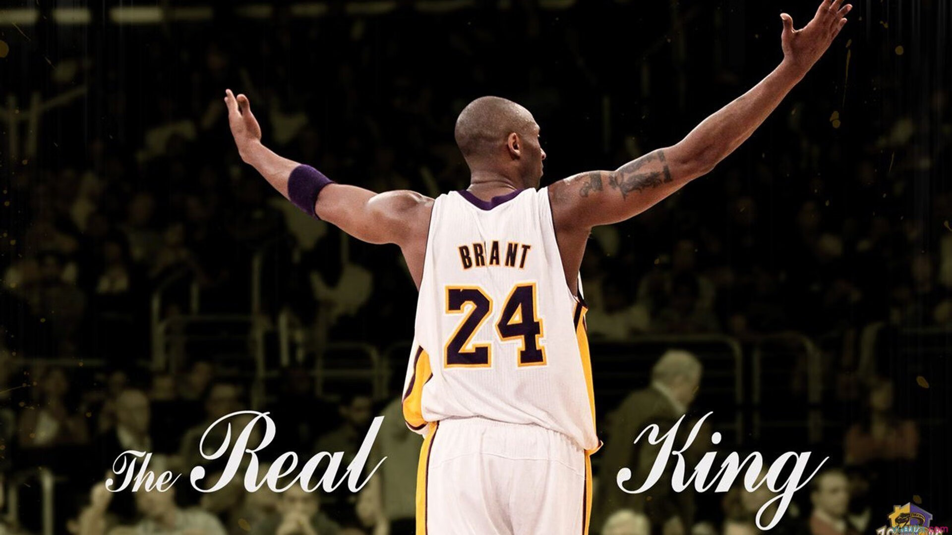 篮球专项技能教学创新实践探索，篮球专项技能展示