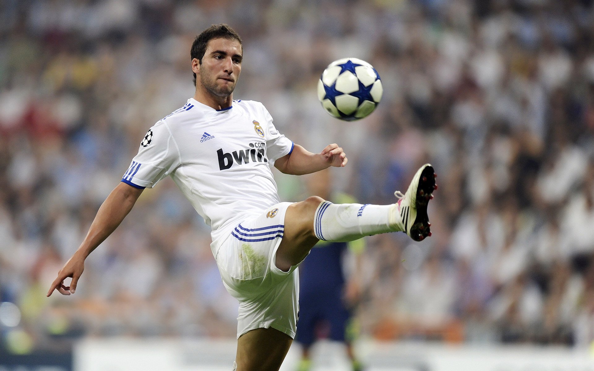 公牛签下非洲中锋潜力股，主打长远培养计划，公牛王朝时期的中锋